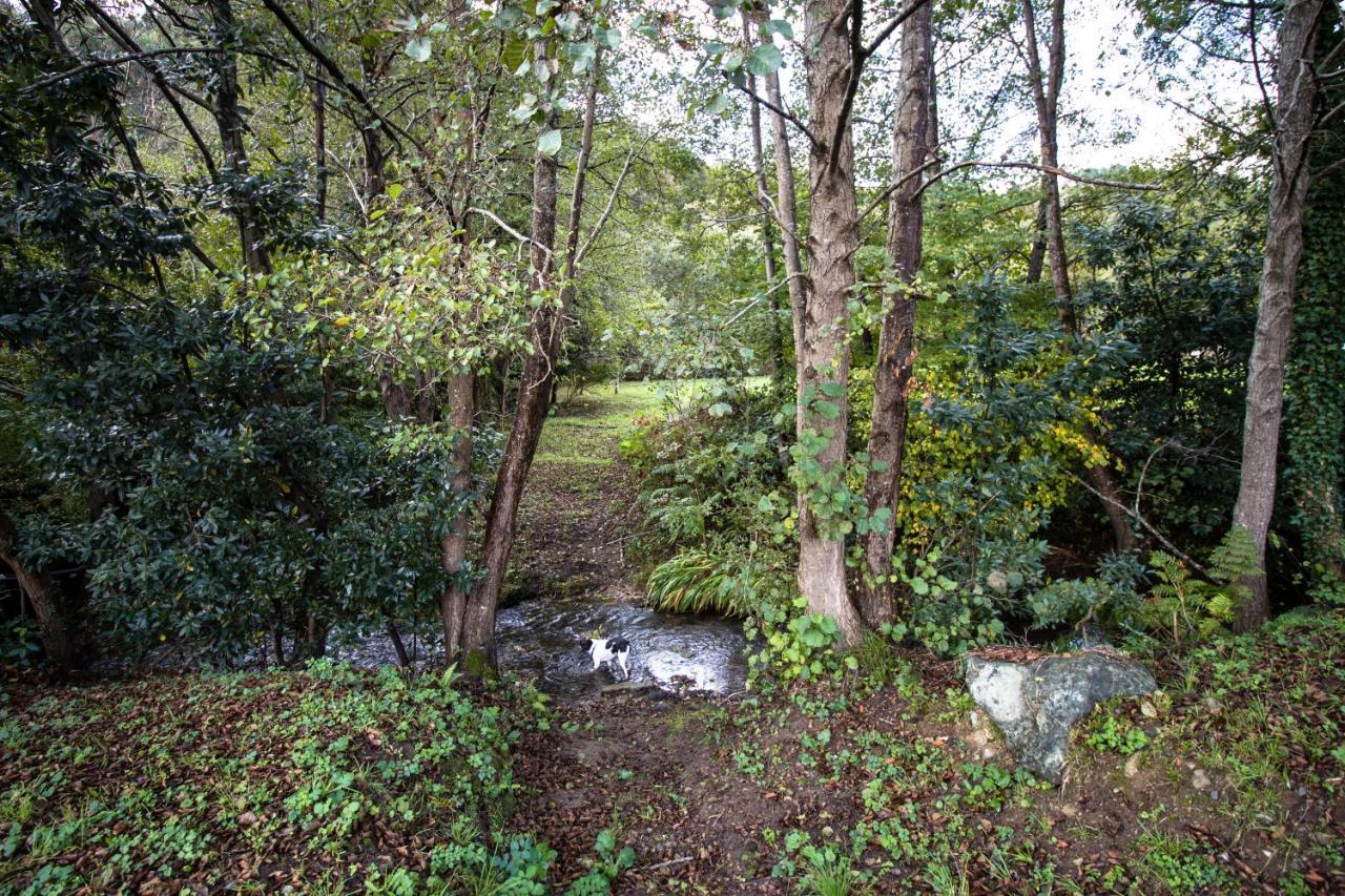 Agroturismo Araize Mungia Exteriér fotografie