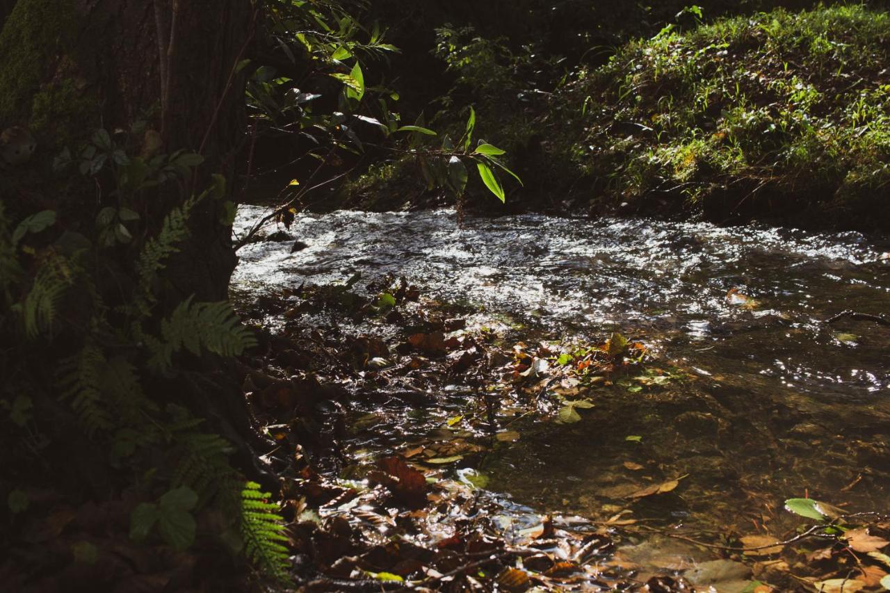Agroturismo Araize Mungia Exteriér fotografie